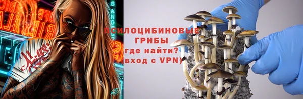 прущая мука Нея